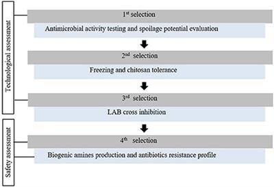 Lactic Acid Bacteria Selection for Biopreservation as a Part of Hurdle Technology Approach Applied on Seafood
